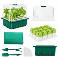 6 Cell Seedling Tray, Mini Greenhouse Propagation Tray with Watertight Base, Clear Cover & Humidity Set A