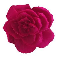 5pcs 25cm Crepe Paper Flower Multi Purpose Light Weight Wrinkles Paper Flower Photography Props Stereoscopic rožinė raudona spalva