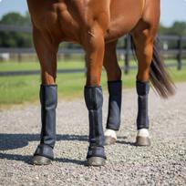 4 Pieces Horse Leg Wraps Breathable Fly Boots Promotes Ventilation Mesh for juoda