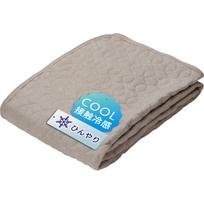 Iris Plaza Rayon Cooling Mattress Pad Natural Keeps You Dry and Supple Silk Antibacterial and Machine Terry Summer Cooling Queen Greige 100% -
