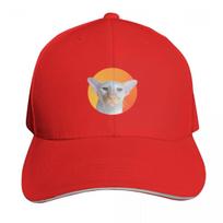 Winston II Baseball Cap Fishing cap Bobble Hat fishing caps Unisex Sports Cap Unisex Golf Wear Womens