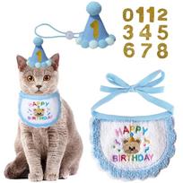 Cartoon Teddy Bear Embroidered Birthday Pet Hat & Bib for Cats-Festive Holiday Accessory (as the picture,Standard)