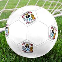 Coventry City FC Dydis 5 Futbolo kamuolys, Mašininio siuvimo PVC, Patvarus ir Aukšto atšokimo, Tinka visoms amžiaus grupėms, gerbėjų atributika, rungtynėms ir lauko naudojimui. beige