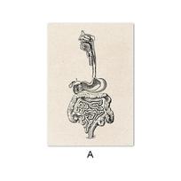 Retro medicinos drobės tapyba Žmogaus kūno anatomija Švietimas Menas Smegenų organų skeletas Sienų spaudinys Plakatas Šiuolaikinis dekoravimas paveikslėlis A4 21x30cm No Frame
