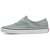 Vans Authentic 'Color Theory Iceberg Green' Vans VN000BW5CJL 35 žalia