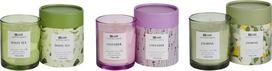 Žvakių rinkinys, aromatinė Beliani Colorful Barrel Lumarko!, 3 vnt., įvairių spalvų