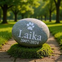Outdoor Pet Memorial Tombstone - Engraved Pebble for Dogs ISAYNING