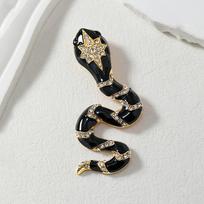 Exaggerated Snake Animal Accessories Brooch for Men and Women 3cm*5cm
