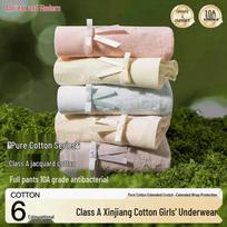 GUJIN Women's 4-Pack Seamless Mid-Waist Pure Cotton Underwear XL