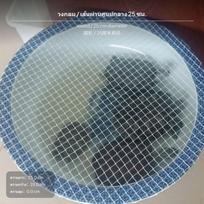 2 vnt. apvalus tinklinis dangtelis akvariumui, apsauga nuo iššokimo, apsauga nuo kačių, įvairių dydžių dangtis, 25 cm skersmens 25cm Diameter gray