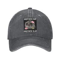 Sad Hamster Another Day Another Slay Denim Cap Casual Baseball Caps Adjustable Hat Summer Unisex Baseball Hats One Size