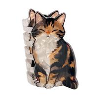 Large Cat Hair Claw Acrylic Grab Clip Personalized Plastic Shark Clip  Vacation Cat
