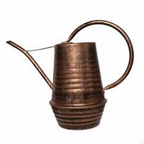Long Spout Watering Can Retro Style Metal RustResistant Garden Tool for Home, Gardening varis