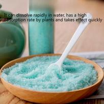 Ferrous Sulfate/acidic Flower-growing Fertilizer Prolongs The Flowering Period and Improves Yellow-leaf Green Plants and Potted 500g blue