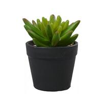 Decorative Ornaments Simulated Decoration Succulent Bonsai green