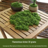 Bioniniai dirbtinio samanų mikro kraštovaizdžio papuošalai bonsai ir grindiniui