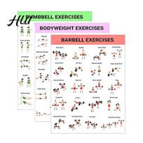 Commercial Gym Workout Poster 3Pcs Home Set with Dumbbell Bodyweight Barbell Exercises Full Body Exercise Schedule Strength Training Guide for Sets