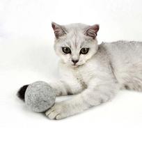 ZP Eco-Friendly Luxury 100% New Zealand Wool Catnip Ball Chew Toy 5.5cm Grey for Cats (Gray,4.5cm) pilka spalva
