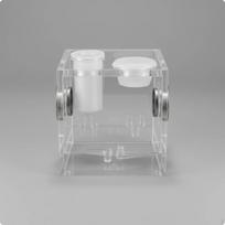 Jumping Arachnid Terrarium High Crystal Clearness Acrylic Enclosure Easy Assembly S Bare Box white
