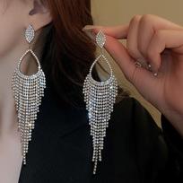 Light Luxury Style Water Drop Long Tassel Earrings Fashionable and Elegant High-end Earrings for Women 1cm*3cm