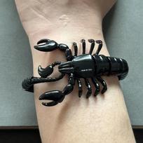 Scorpion Bracelet Animal Bracelet Domineering Men's Scorpion Bracelet Punk Jewelry 18CM