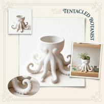Octopus Shaped Plant Pot Resin Succulent Planter Indoor Decorative Container with Tentacle Design for Home Office Desk one size balta