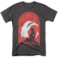 Chilling Adventures Of Sabrina sabrina And Salem Adult T-Shirt S