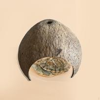 Coconut Shells Hut Shelter Reptile Hideouts Hide Hermit Growth Nest Cave Breeding Habitat Box for