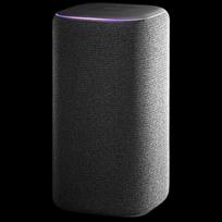 Xiaomi Smart Speaker Pro CN plug (adapter included)