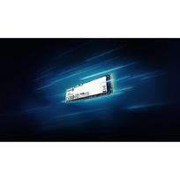 Kingston NV3 SSD SNV3S/500G, 500GB, PCIe 4.0, 5000MB/s, 3000MB/s, 3D NAND, M.2 2280