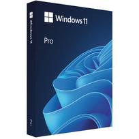 Microsoft Windows 11 Professional BOX USB PL HAV-00209, USB atmintinė, 4 TB, 1 licencija, 1000 GHz, 64GB, 12.0