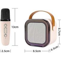 Karaoke Microphone and Speaker Set