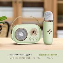 Karaoke Wireless Portable Bluetooth Speaker With Microphone Radio FM Machine Mini Music Sound Box Caixa De Som Small Mp3 Column green with 1 mic