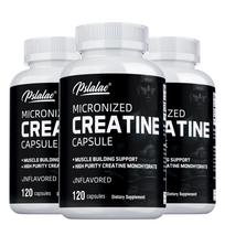 Pslalae Micronized Creatine Monohydrate Capsules, High Purity, Fitness, Sports, Dietary Supplement 120*3