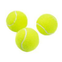 Training Exercise Tennis Balls for Beginners Tennis Balls Practice Balls Tennis Balls for Kids Adults Tennis Training
