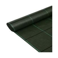 Agrodanga mulčiavimui 1,65x100 m, 100 g/m², žalia