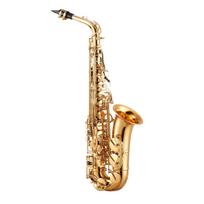 Gold Brass Alto Saxophone Eb E Flat Sax Beginner Kit with Case Mouthpiece