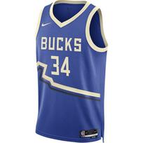 Nike Giannis Antetokounmpo Milwaukee Bucks 2024/25 City Edition Men's Nike Dri FIT Nba Swingman Jersey FQ4349-481 M