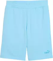Šortai vyrams Puma ESS No.1 Logo 10" (s) jasnoniebieskie 682595 45 (M)