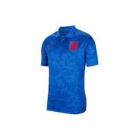 Nike UEFA Euro 2020 Anglijos išvykos marškinėliai CD0696-430 M