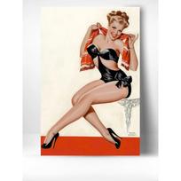 Pin Up merginos metalinis plakatas 30x20cm, Vintažinis Retro sienos meno dekoras