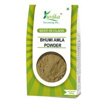 Yuvika Bhumi Amla Powder - Bhoomi Awla Powder- Phyllanthus Niruri - Fillanto Niruhi 250 Grams