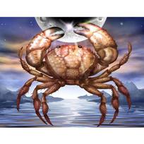 Diamond Mosaic Cross Stitch Crab/sea/Moon  Diamond Embroidery Animal Diamond Painting 20X30CM