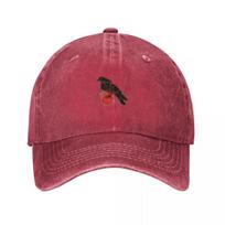 death cab for cutie Baseball Cap winter hats for Unisex Designer Hat New In Hat Sun Cap Baseball Unisex Womens