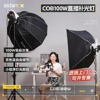 Sidande Guangyu 100W COB LED Studio Video Light 100W Power, Stable Performance
