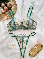 Women's Sexy Mesh Lingerie Set: Pure Desire Thong and Bra Small žalia