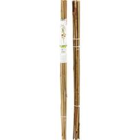 BAMBUSINĖ ATRAMA AUGALAMS, LAZDELĖ 78 CM, 10 VNT. PROGARDEN 310383