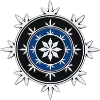 Fanatik „Dungeons Dragons“ riboto leidimo „Neverwinter“ heraldikos medalionas