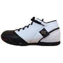 Nike Zoom Lebron 5 Low Remix 318696-171 43 juoda/balta