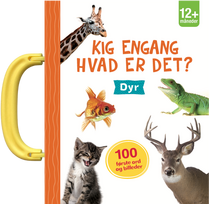 KNYGA Forlaget Tukan Kig engang - Ką tai reiškia?